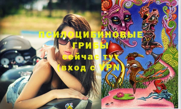 ешки Гусиноозёрск