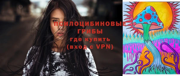 ешки Гусиноозёрск