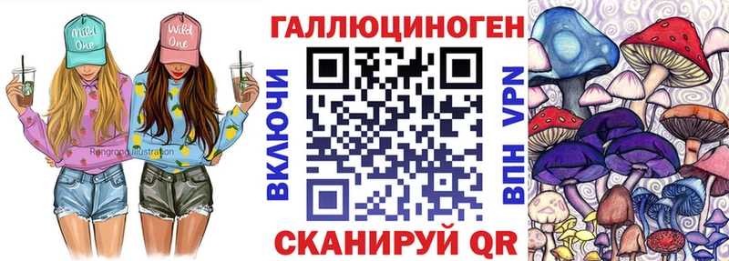 даркнет сайт  MEGA сайт  shop какой сайт  Плёс  Галлюциногенные грибы мицелий 